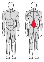 Разгибатель спины Fitex FTX-6217