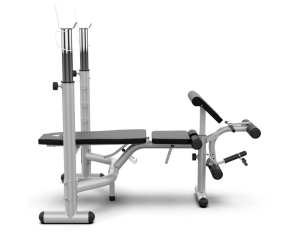 Скамья под штангу DFC D748