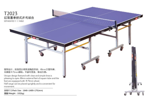 Теннисный стол DHS T2023 (синий)